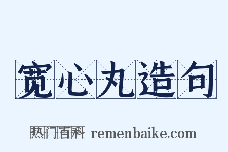 宽心丸造句是什么意思的图片